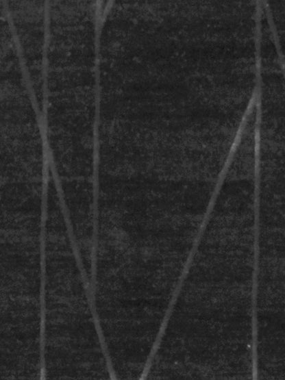 Sarila - 0002